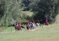 Valley Farm Equestrian Leisure