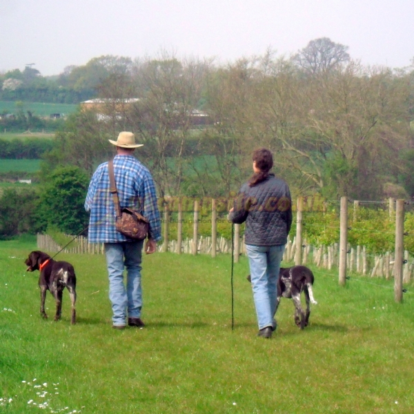 Valley Farm Equestrian Leisure