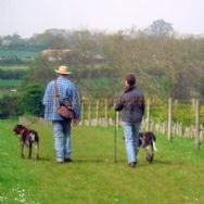 Valley Farm Equestrian Leisure