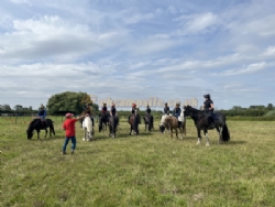 Valley Farm Equestrian Leisure